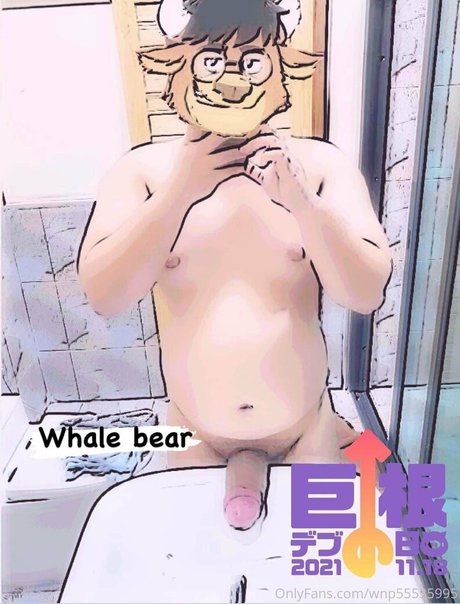 wnp55535995 beautiful star photo