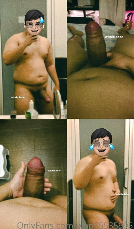 wnp55535995 model best photo