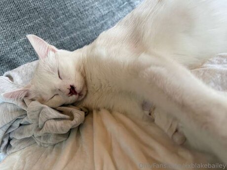 XxBlakeBailey pornstar xxx galleries