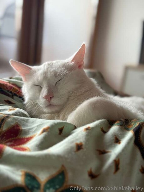 XxBlakeBailey nice model gallery