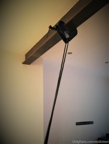 evilkitten high quality star archive