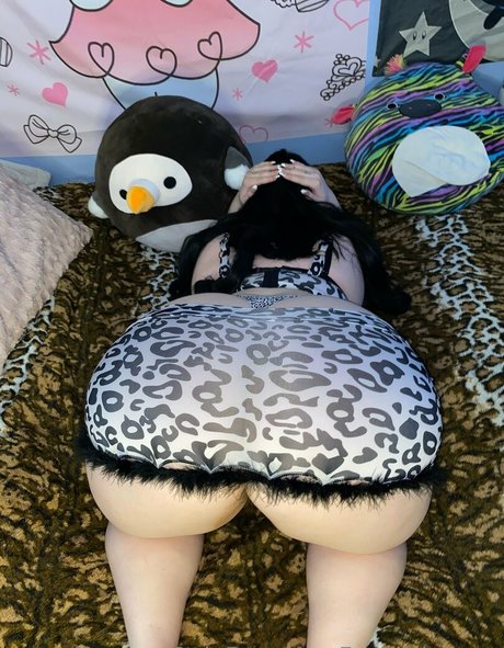 yourfavkittie star perfect gallery