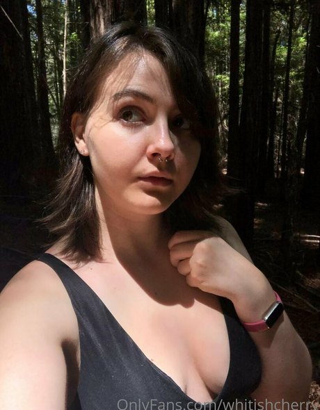 whitishcherry star beautiful photos