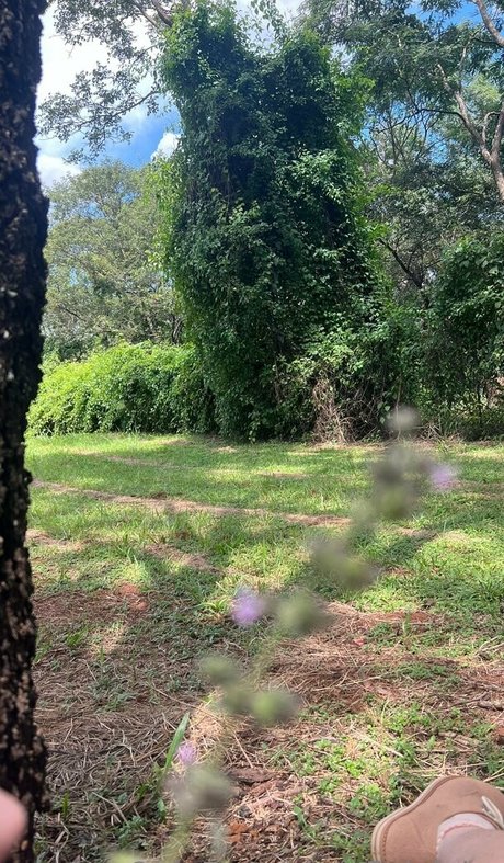 fleivinha star perfect images