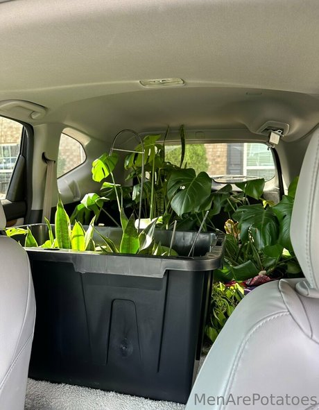 menarepotatoes pornstar xxx img