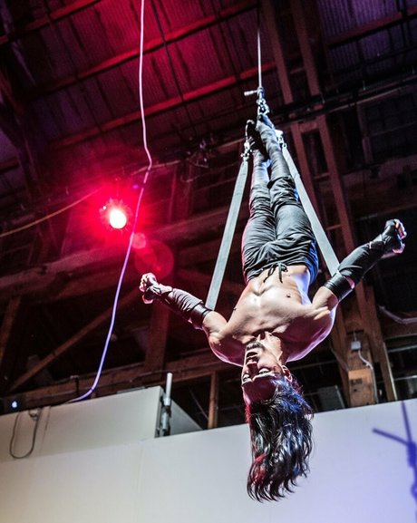 kinkyninjawolf star erotic galleries