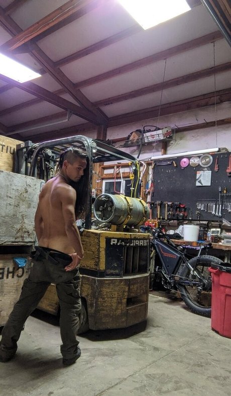 kinkyninjawolf top star images