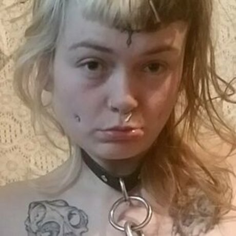 sweethoneybean pornstar nudes img