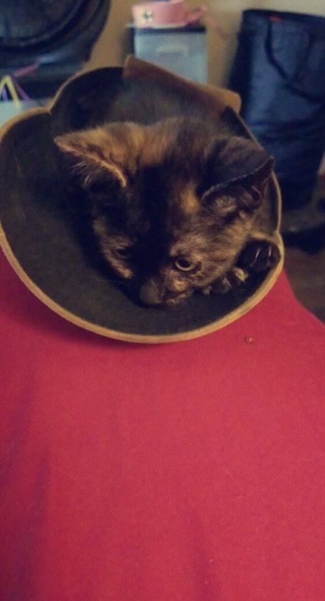 sexy redhead onlyfans free photos