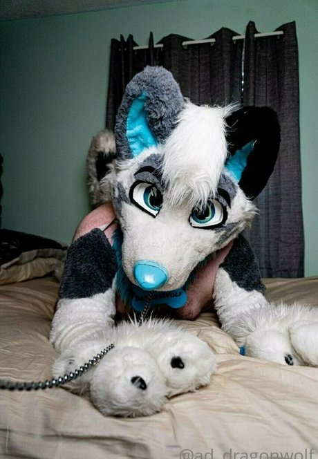 ad dragonwolf star pornographic pictures