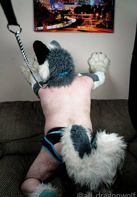 ad dragonwolf beautiful star pics