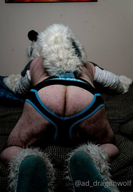 ad dragonwolf xxx actress images