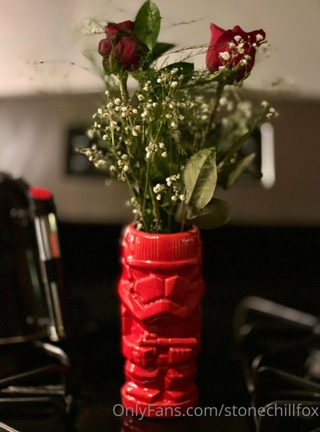 stonechillfox Profile pic