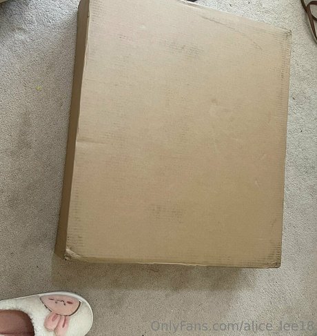 alice lee18 hot model img