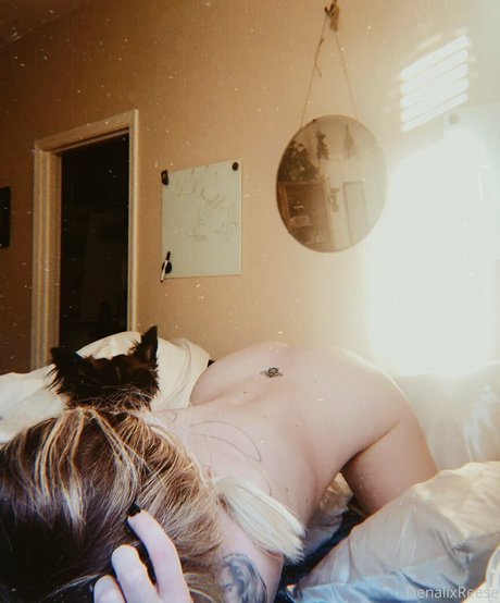 denalireese art pornstar pictures