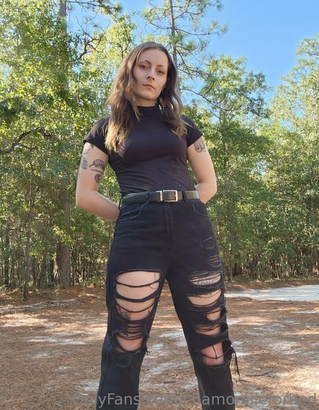 chamomileforbed star nice gallery