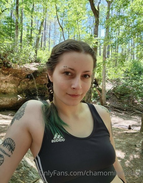 chamomileforbed pretty star image