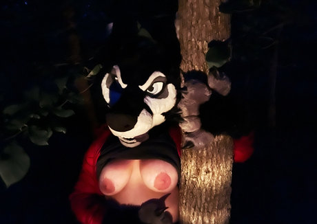 emmawerewuff beautiful star gallery