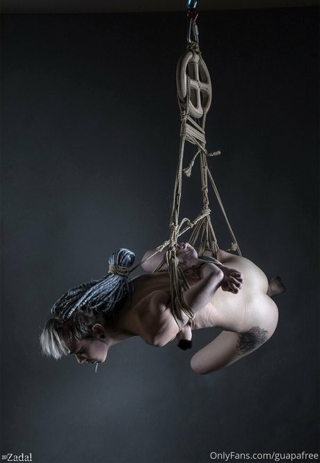 guapafree Profile pic