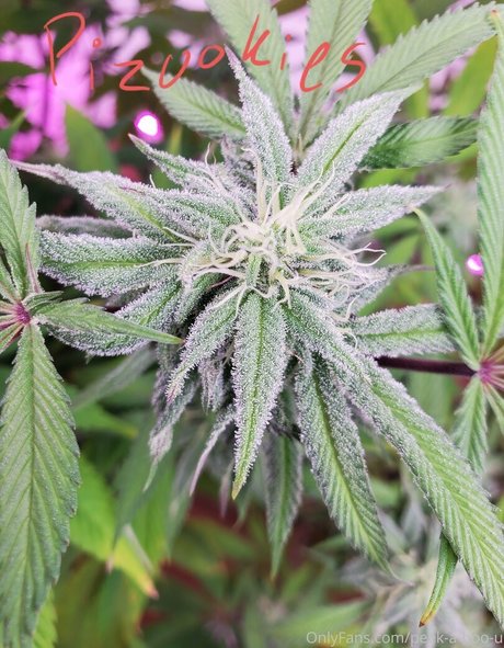 peek a boo u model pretty pictures