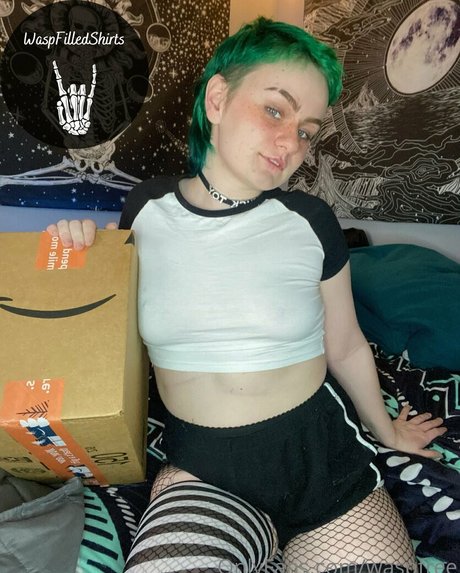 waspfree hd pornstar pic