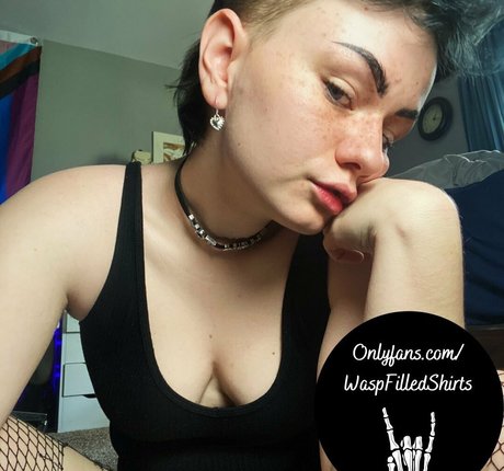 waspfree pornstar adult galleries