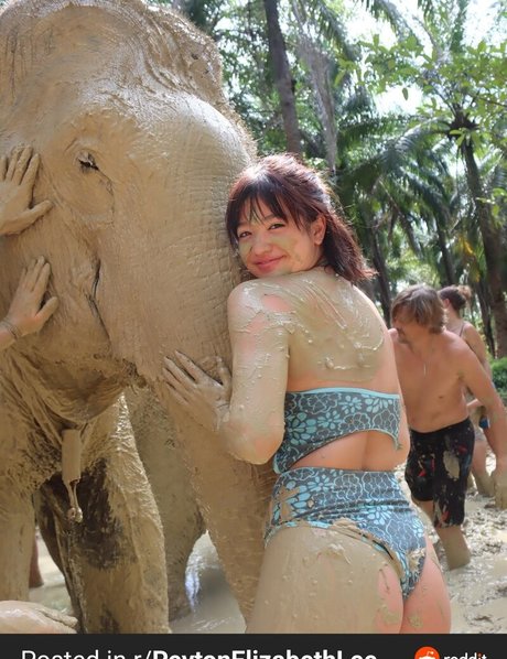 Peyton Elizabeth Lee art pornstar galleries