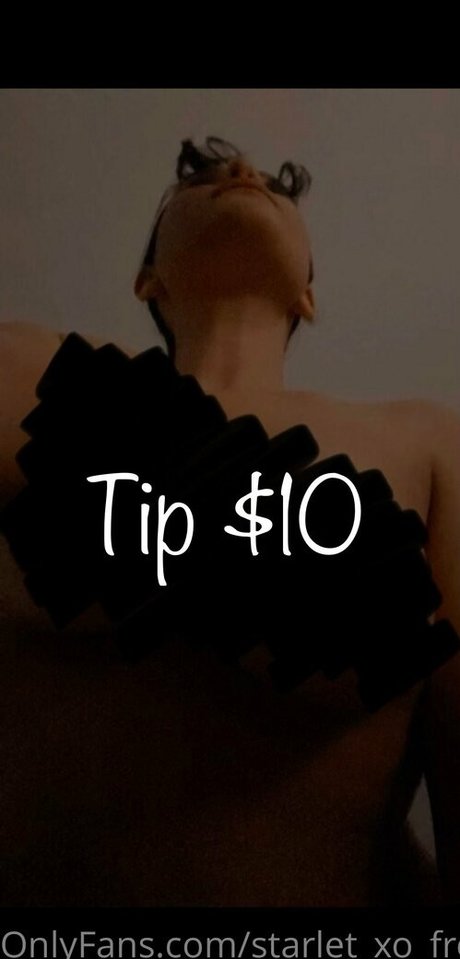 starlet xo free pornstar hot photos