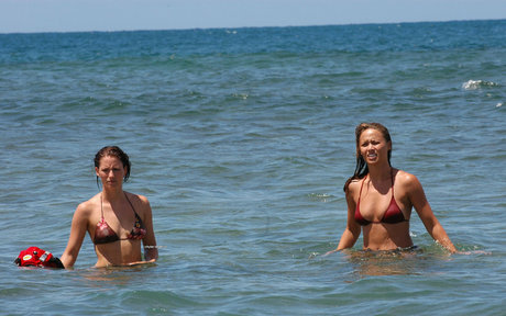 Chyler Leigh model pornographic pics