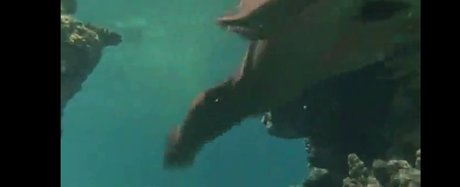 Phoebe Cates pretty pornstar image