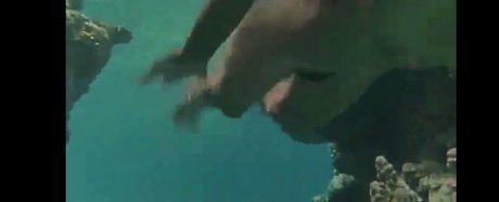 Phoebe Cates top pornstar pics