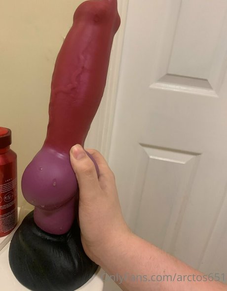 arctos651 pornstar exclusive photo