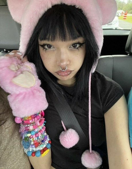 puppy com high quality model gallery