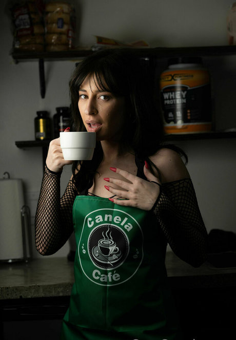 camcanela model art archive