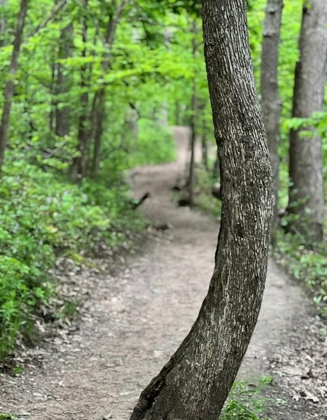 akiraalita beautiful actress gallery