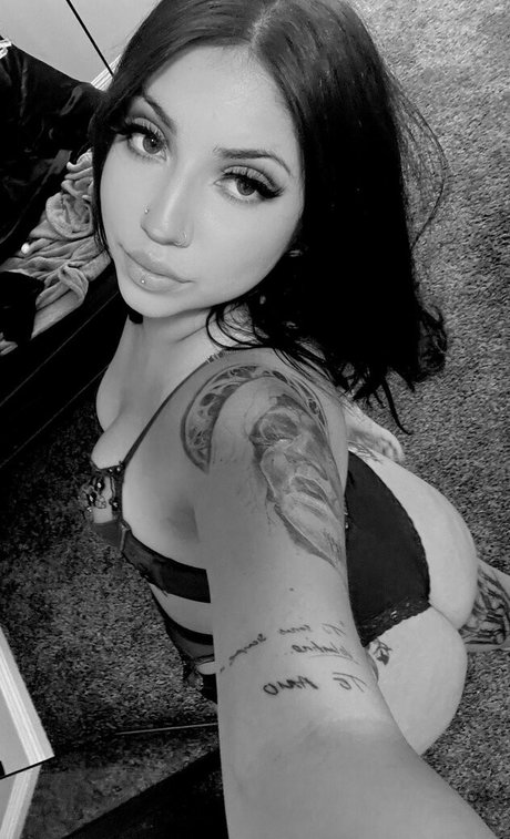 dvminiquex star hd archive