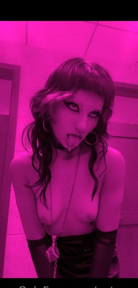 gutwax pretty star gallery