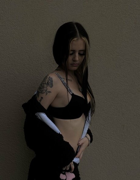 savannawillard star images