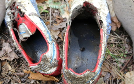 islandermud nice star photo