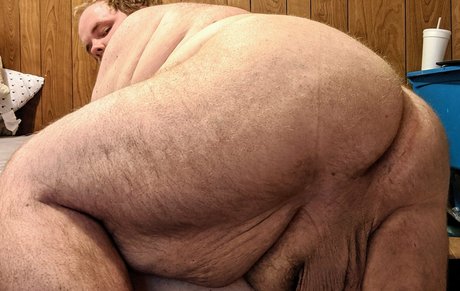 zadyas toybox hot model galleries