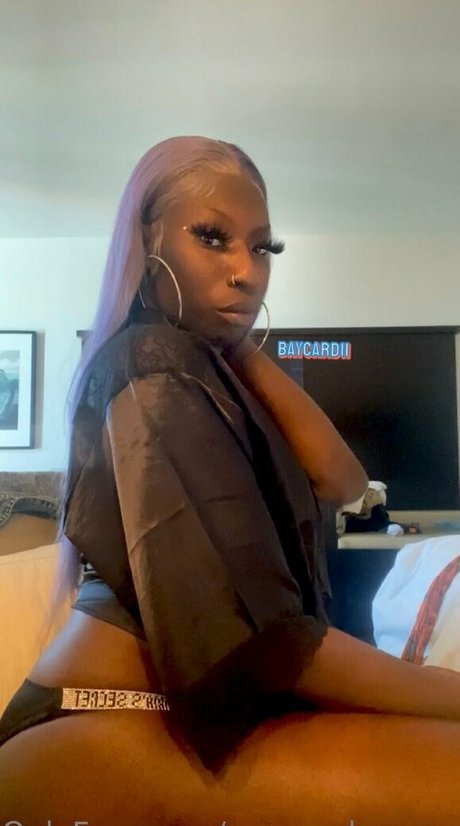 amazonbaycardi free model archive