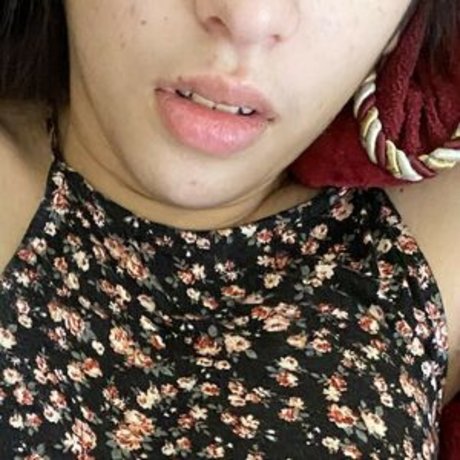 Thelustphoenix art star image