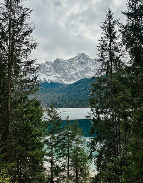 alpswander hd model images