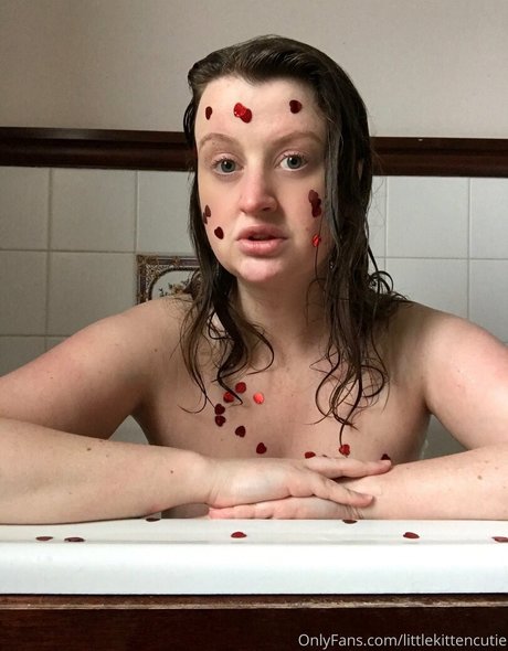 kittengotcream star nice archive