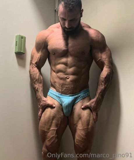 marco pino91 free star img