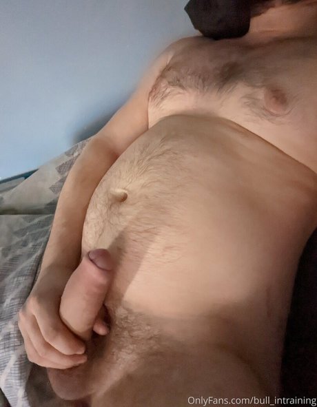 bull intraining best model galleries