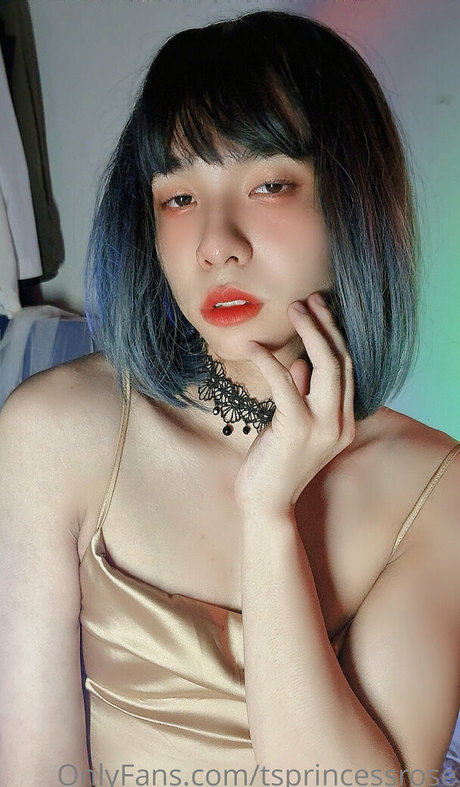 TSprincessRose hd star photos