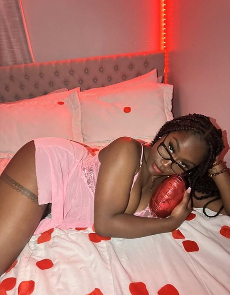 Originaldon model img