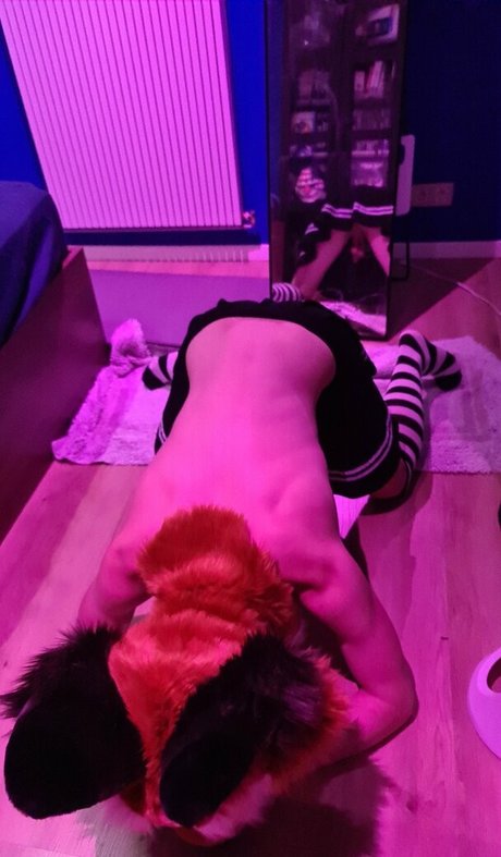 matthewfoxbe star free gallery