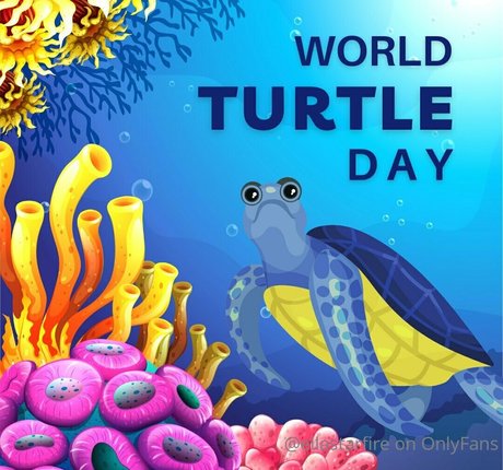 ellastarfire Profile pic